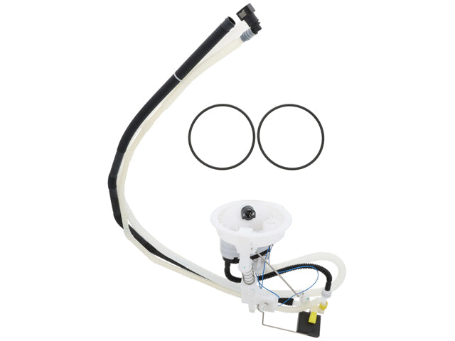 Fuel Filter Assembly