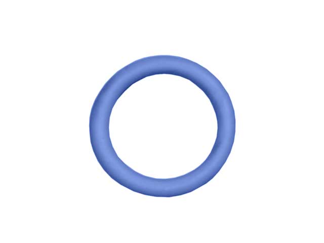 O-Ring