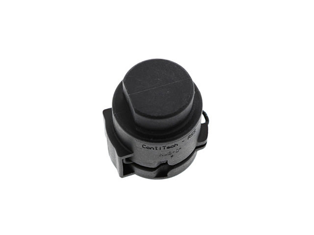 Blind Plug