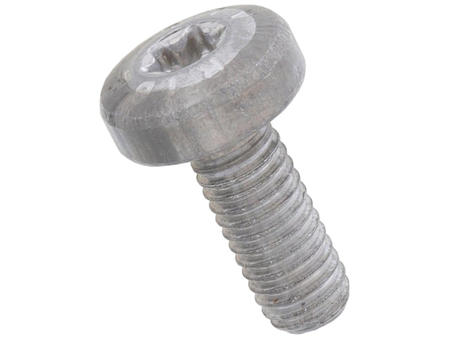 Torx Screw