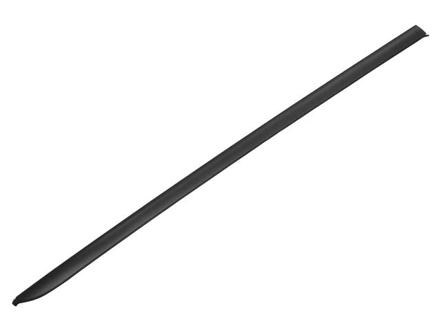 Windshield Moulding