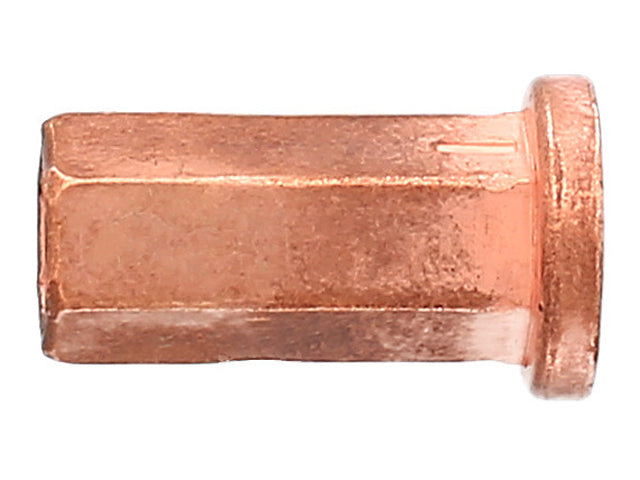 Copper Flange Nut