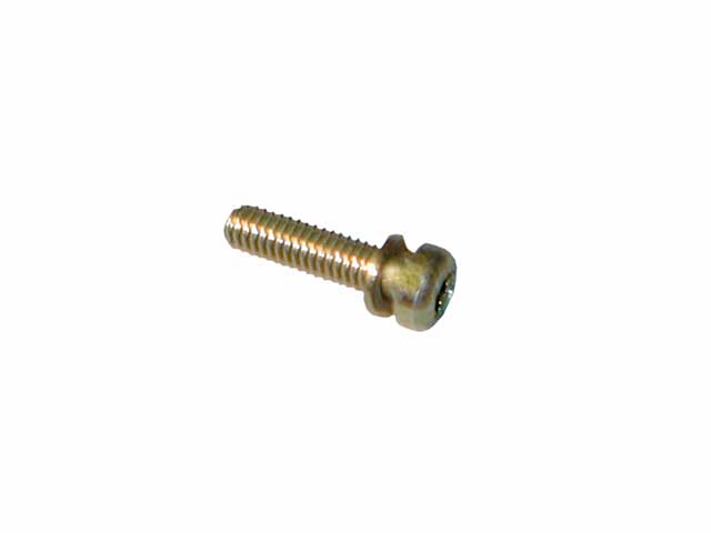 Screw