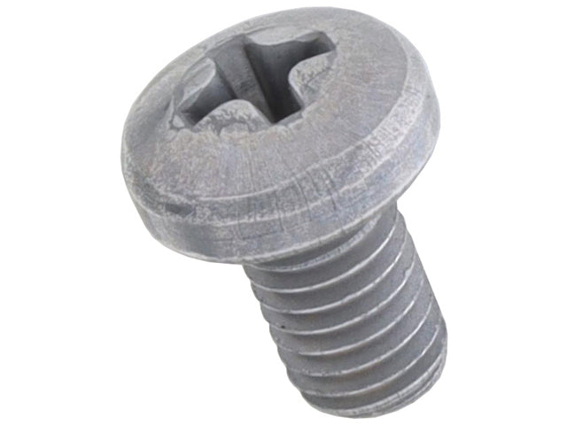 License Plate Screw