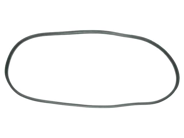 Windshield Seal