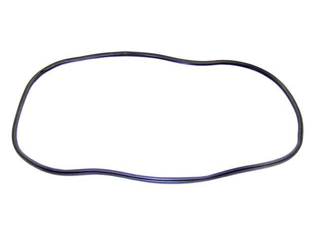 Windshield Seal