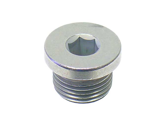 Engine Oil Drain Plug