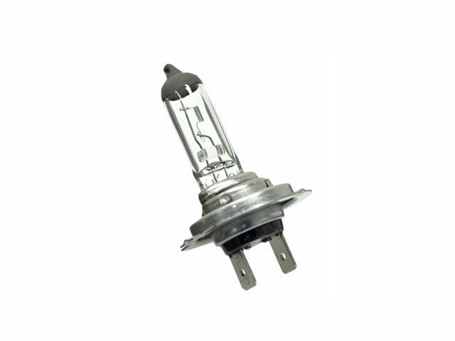 Bulb