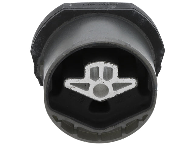 Transfer Case Mount