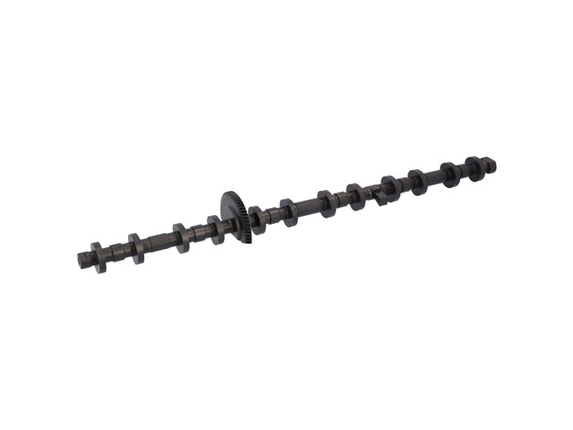 Eccentric Shaft