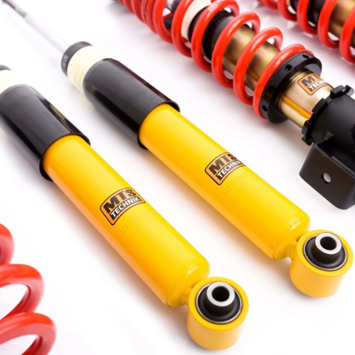 MTS Technik E31 Coilovers - Street