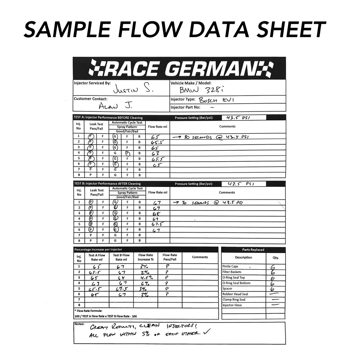 BMW Injector Cleaning & Flow Testing