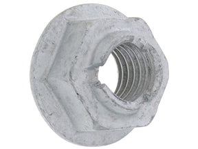 Hex Nut
