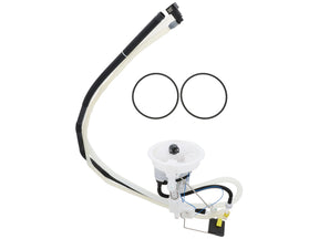 Fuel Filter Assembly