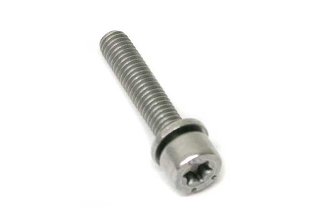 Engine Oil Pan Bolt
