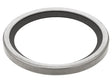 Thermostat O-Ring