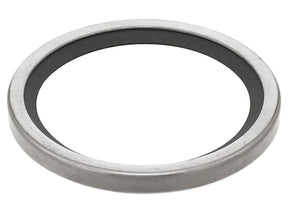 Thermostat O-Ring