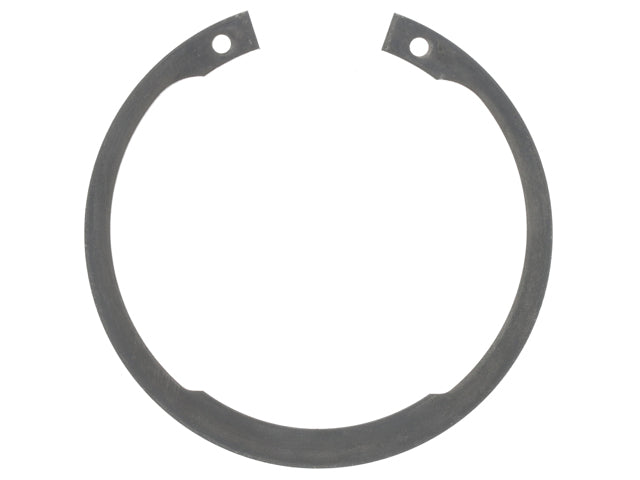 Snap Ring