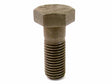 Caliper Bracket Bolt