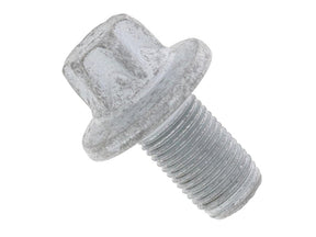 Torque Converter Bolt