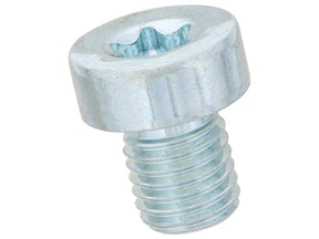 Transmission Drain Plug