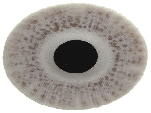 Oil Filter Kit