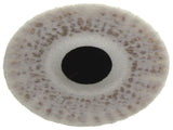 Oil Filter Kit
