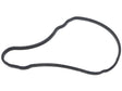 Timing Cover Gasket