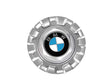 Wheel Center Cap