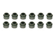Valve Stem Seal Kit