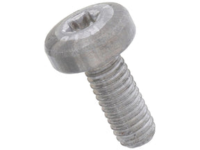 Torx Screw
