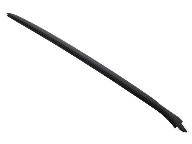 Windshield Moulding