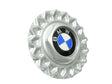 Wheel Center Cap