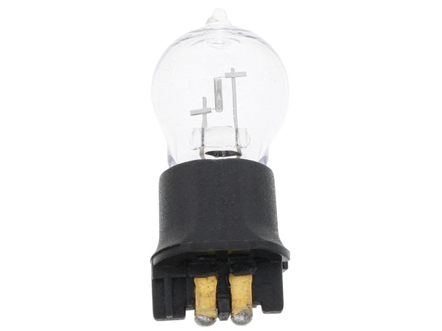 Bulb