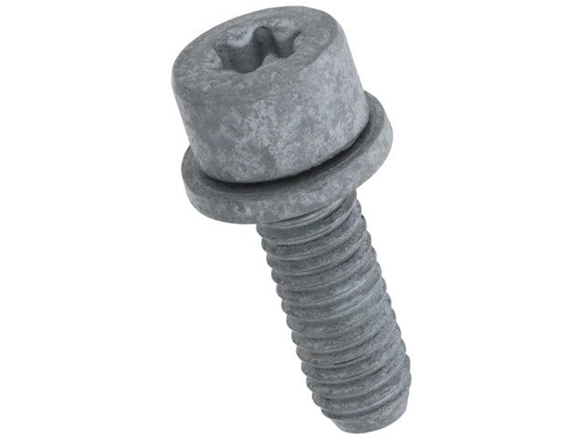 Torx Head Bolt
