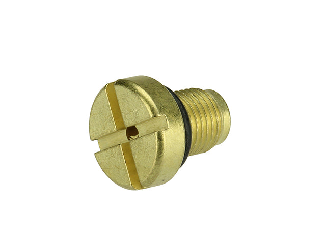 Bleeder Screw