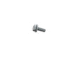 Engine Oil Pan Bolt