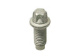 Torx Bolt