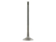 Exhaust Valve