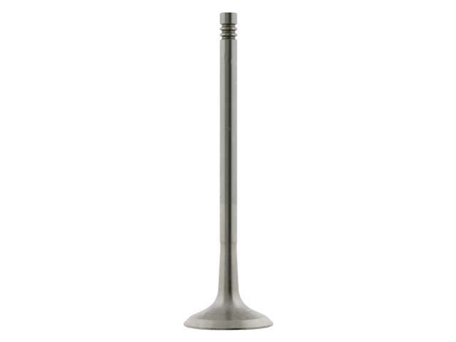 Exhaust Valve