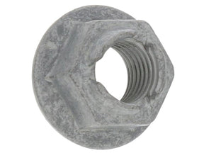 Hex Nut