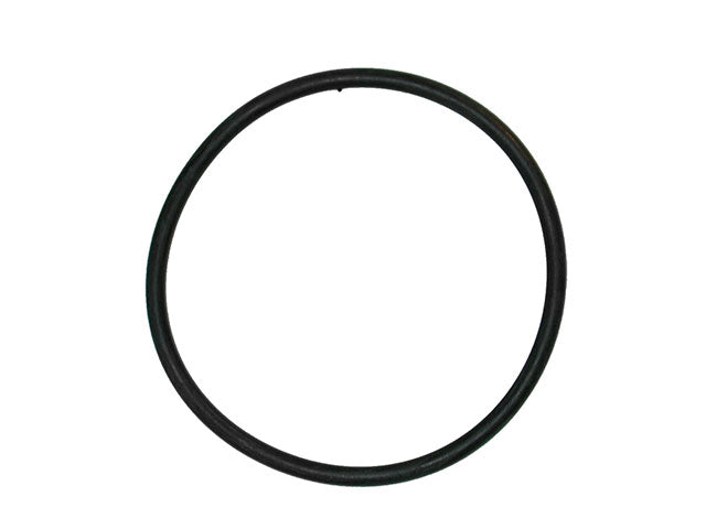 Thermostat Seal