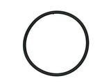 Thermostat Seal