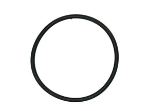 Thermostat Seal