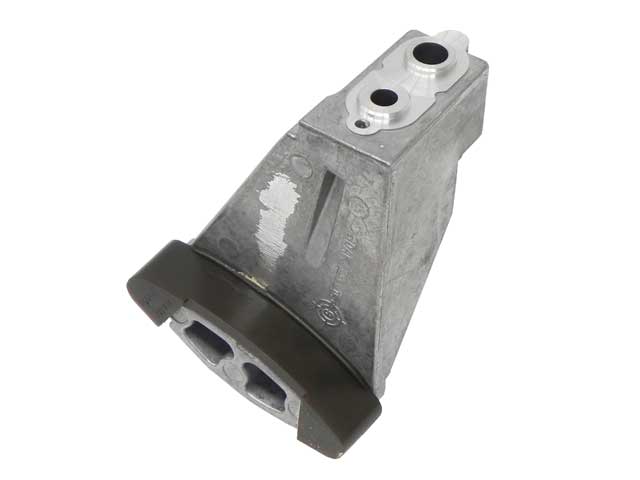 Timing Chain Rail