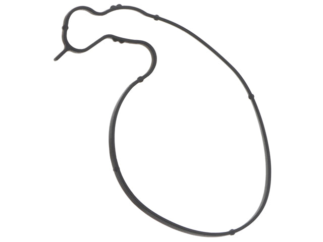 Water Pump Gasket