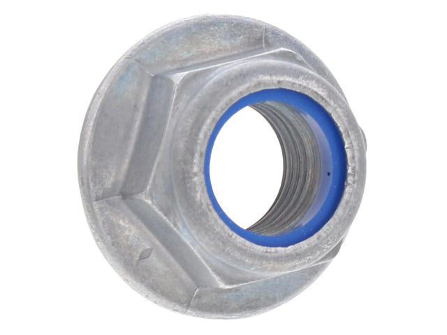 Hex Nut