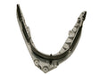 Timing Chain Rail
