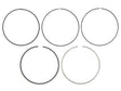 Piston Ring Set