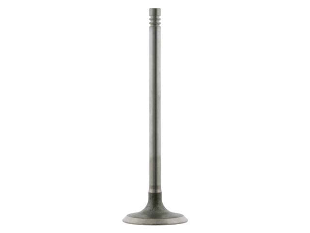 Intake Valve